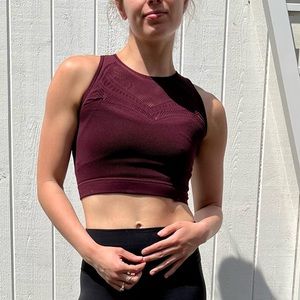 Lululemon Mesh Crop Top